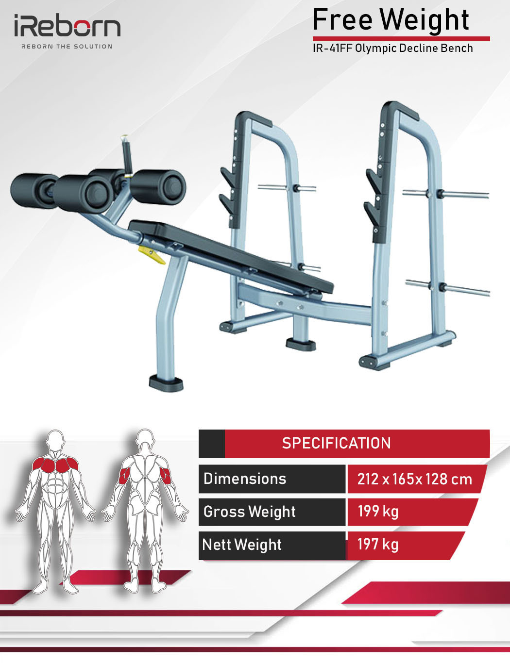 IR-41FF Olympic Decline Bench 4
