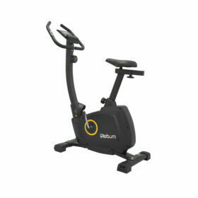 Flux Magnetic Bike