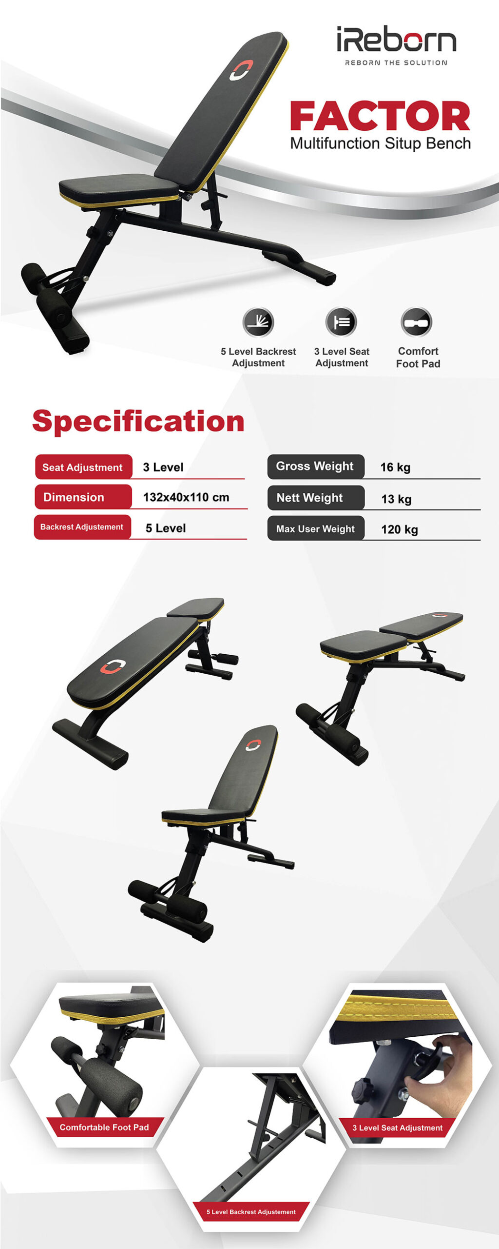 iReborn Factor Situp Bench 1 iReborn Factor Situp Bench 10
